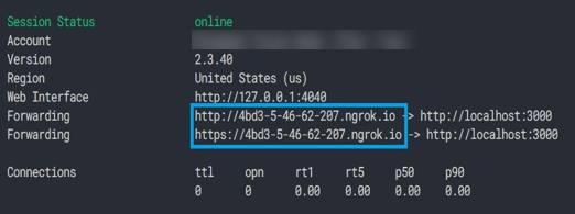 An example of the results of running Ngrok on the proxy tunnel endpoint, showing the URLs that are exposed as a result. 