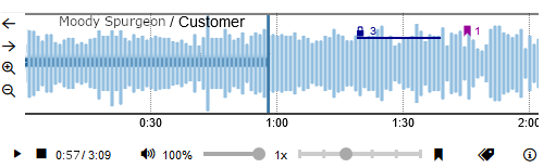 The waveform display in the Video/Audio pane