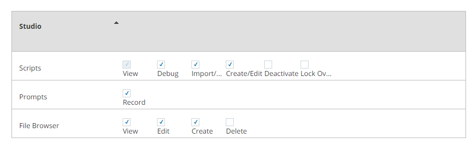 Screenshot of permissions that enable users to use Studio