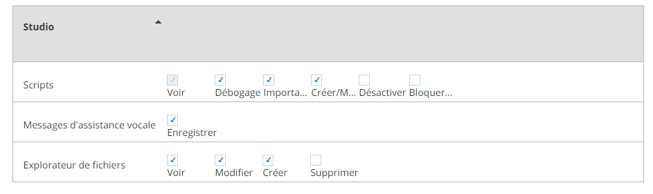 Capture d'écran des autorisations permettant aux utilisateurs d'utiliser Studio