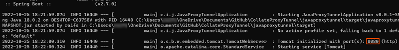 생성된 JAR 파일 실행 결과 예시. 사용하는 포트 번호를 보여 줍니다.
