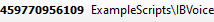 O ID e o nome de contato e o caminho do script que está sendo rastreado.